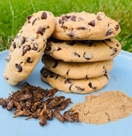 Protein Choc Chip Cricket Cookies