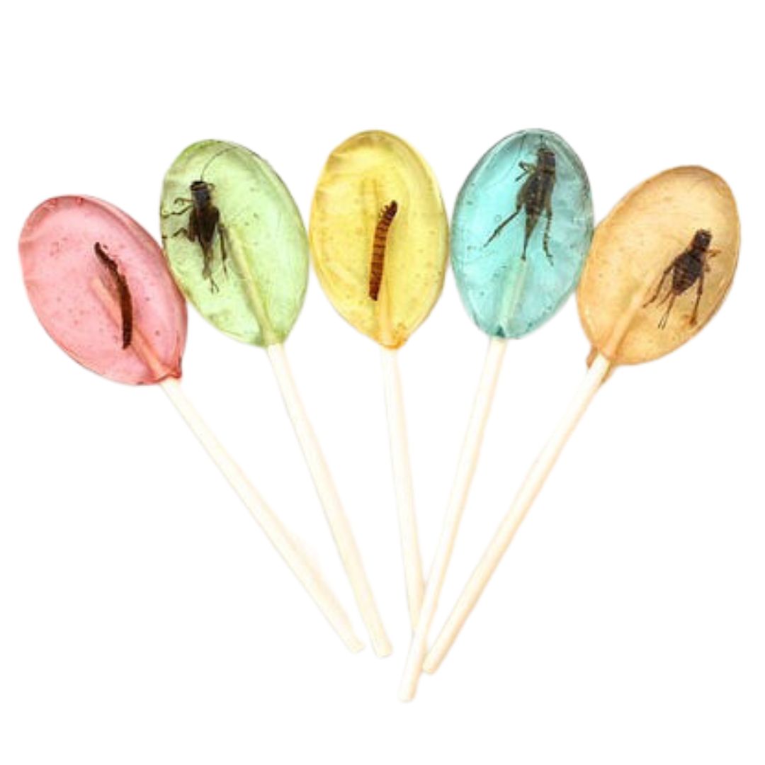 BugBites- Real Edible Insect Lollipops