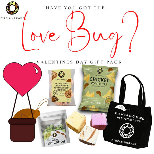 Valentines Day Love Bug Gift Pack