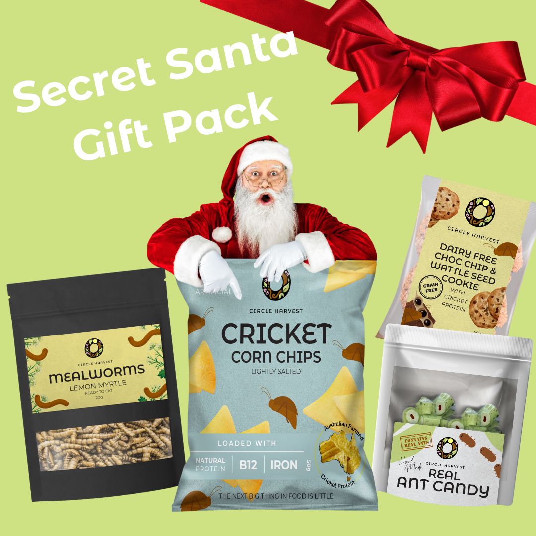 Secret Santa Edible Insect Gift Pack