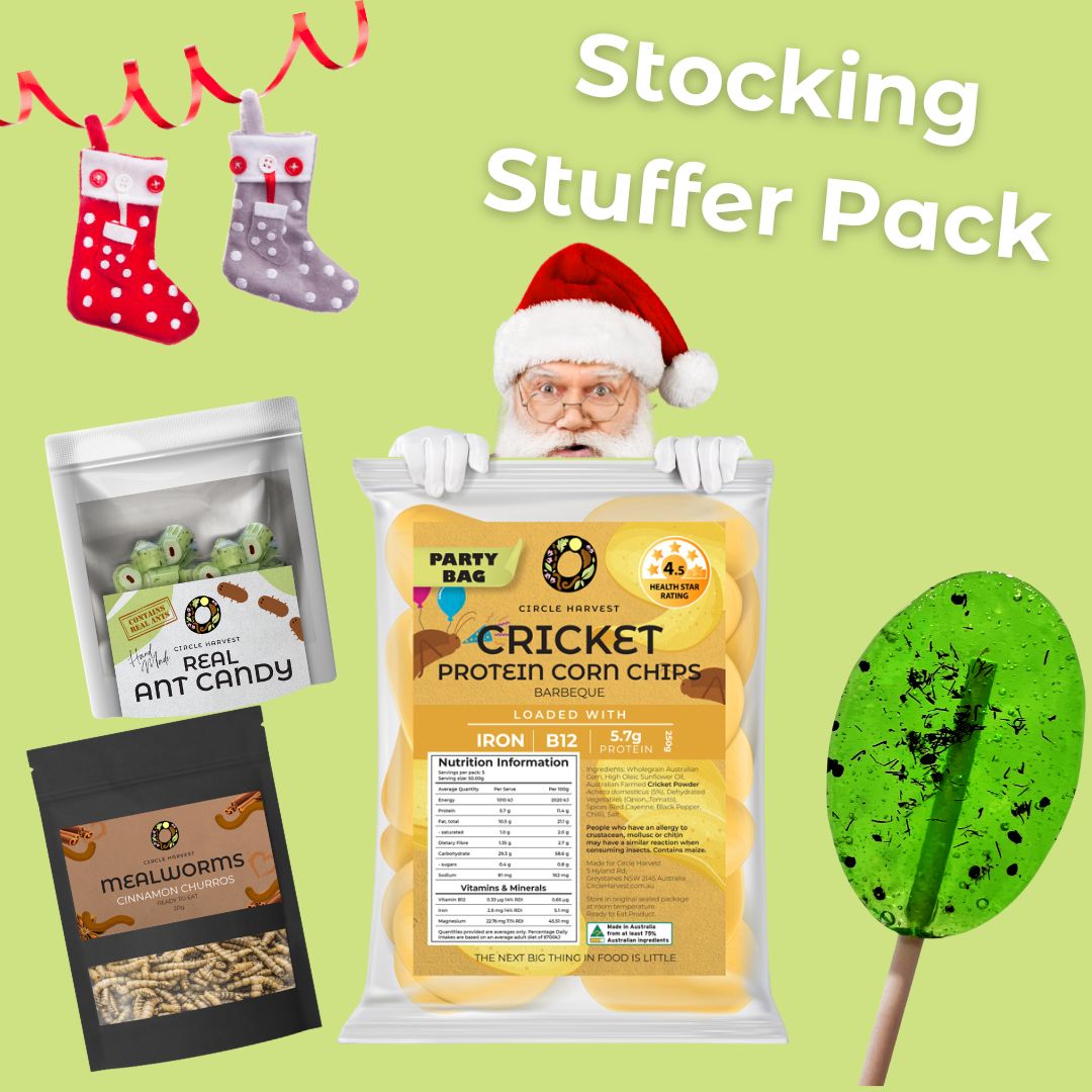 Stocking Stuffer Christmas Pack