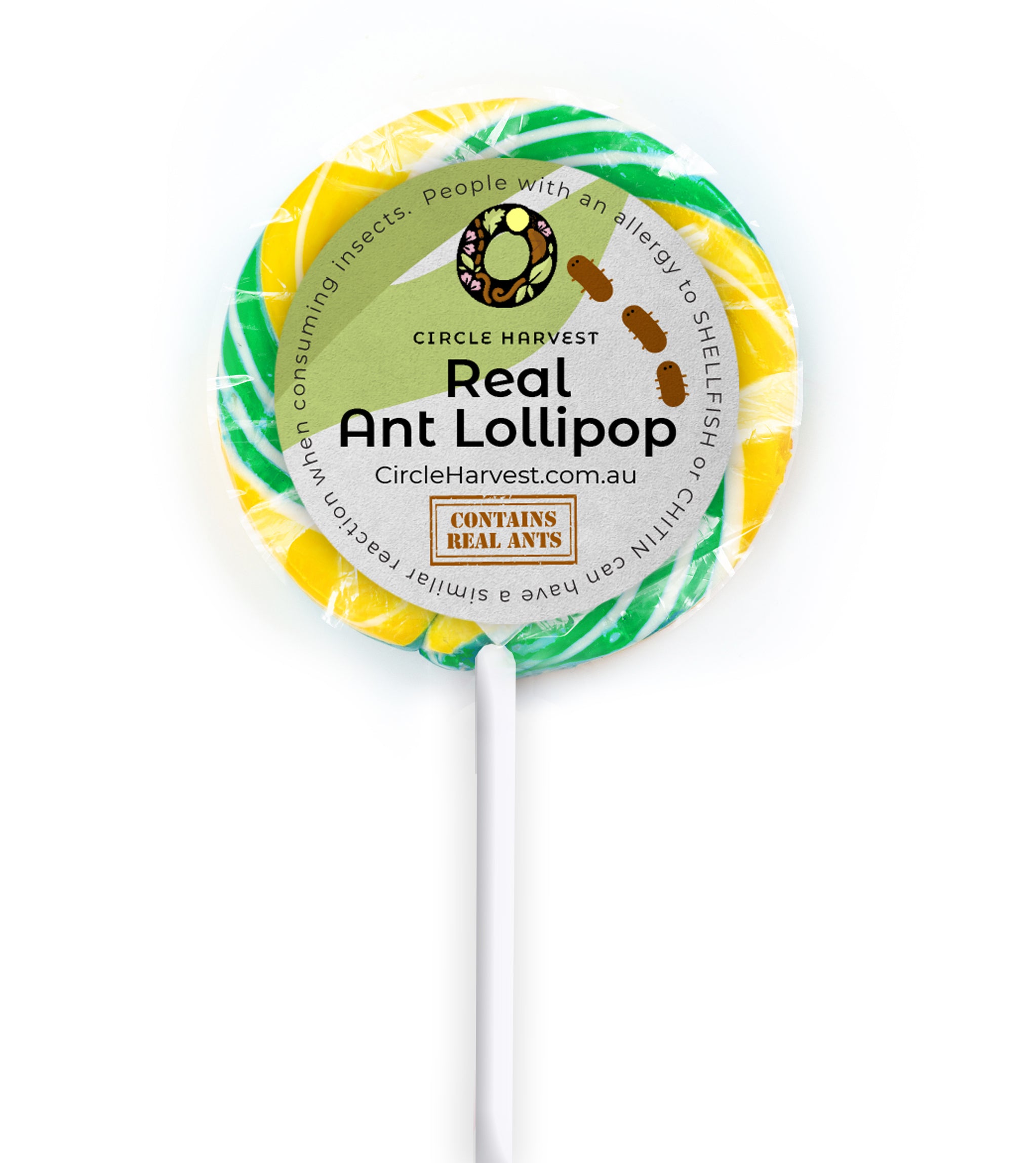 Real Ant Lollipops