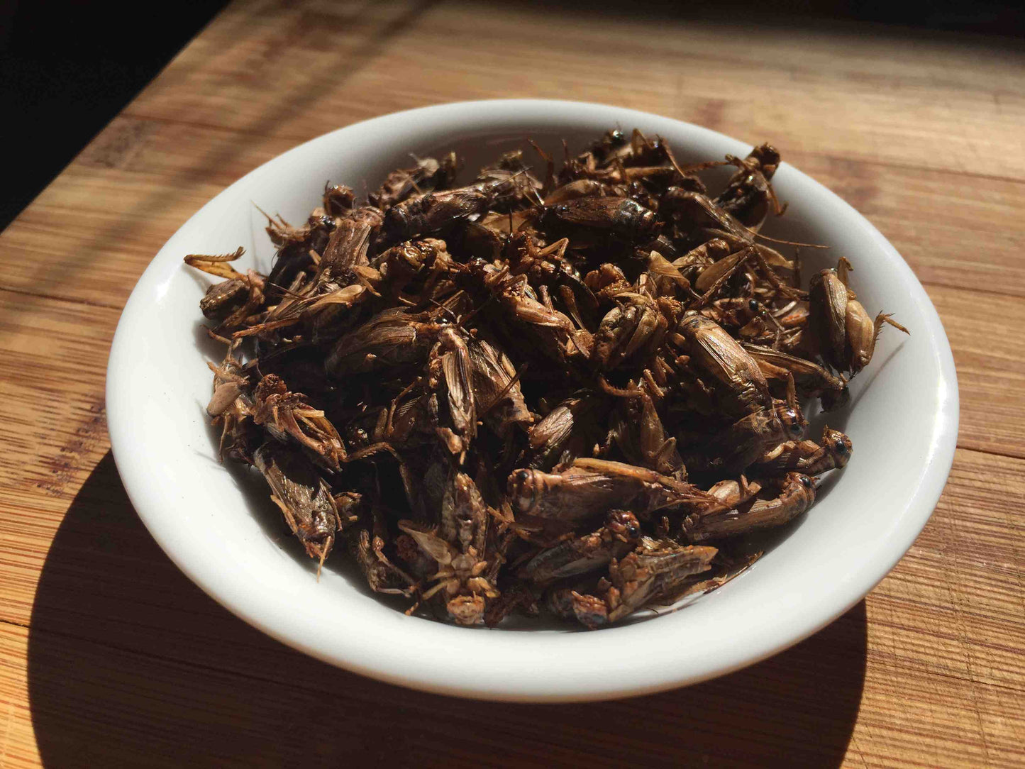 BBQ Snack Crickets