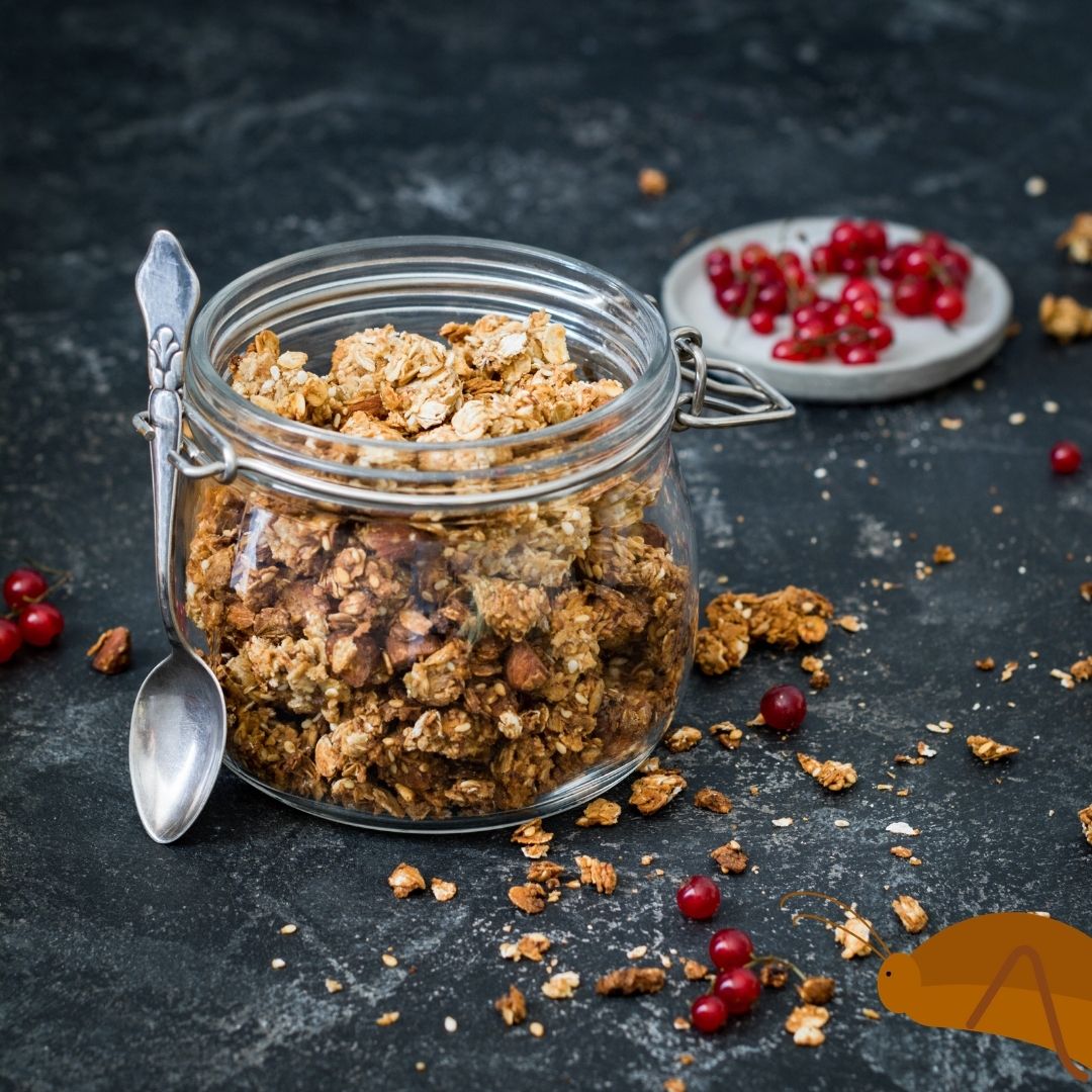 High Protein Almond Granola with Cricket powder