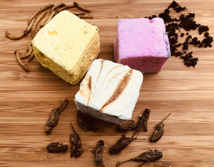Edible Insect Marshmallows- 3 pack (on special)