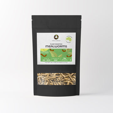 Plain Roasted Mealworms 80g