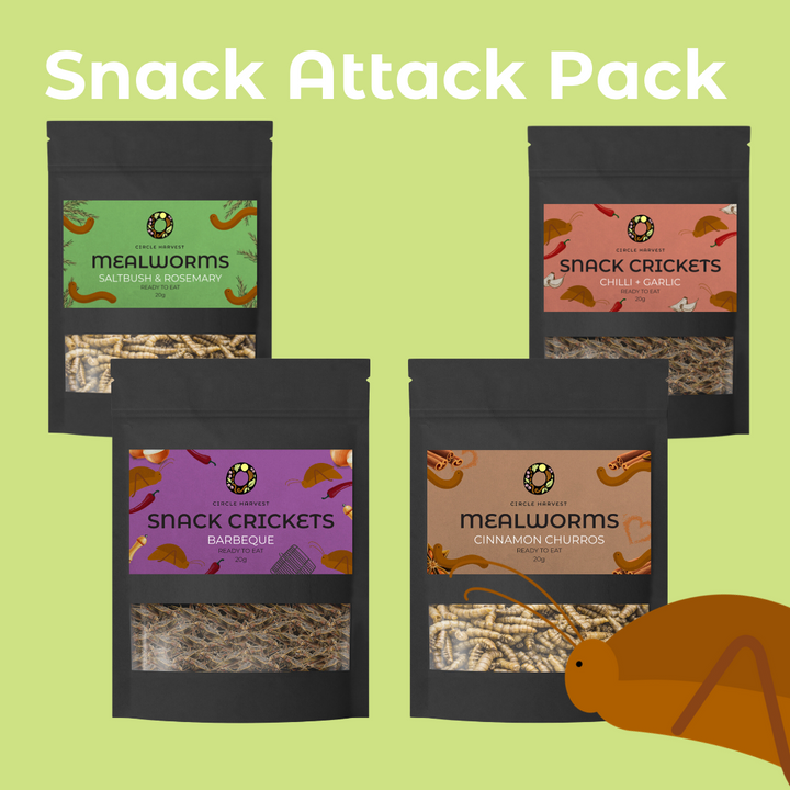 Edible Bug Shop- Circle Harvest. Australian Farmed Insect Protein
