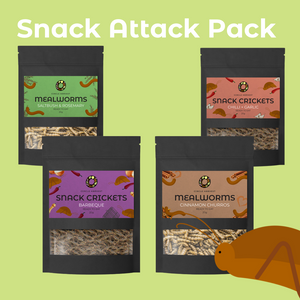 Snack Attack Pack